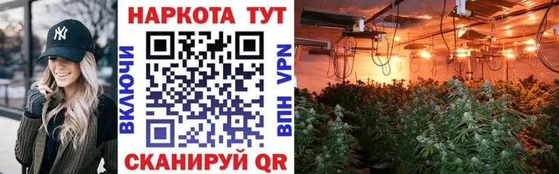 Где продают наркотики Светлый Каннабис  Мефедрон  АМФ  Гашиш 