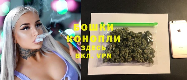 дмт Нея