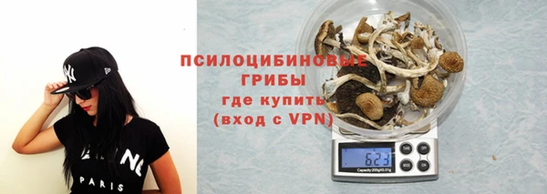 марки nbome Вяземский